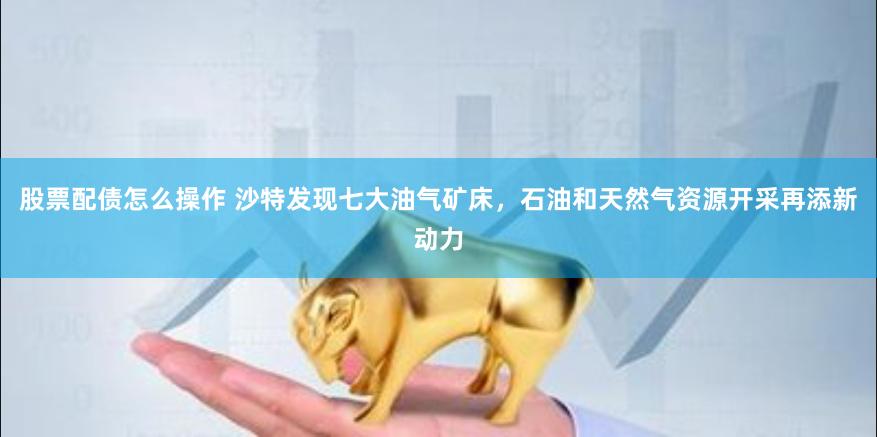 股票配债怎么操作 沙特发现七大油气矿床，石油和天然气资源开采再添新动力