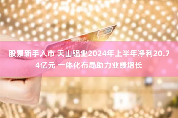 股票新手入市 天山铝业2024年上半年净利20.74亿元 一体化布局助力业绩增长