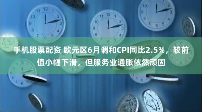 手机股票配资 欧元区6月调和CPI同比2.5%，较前值小幅下滑，但服务业通胀依然顽固