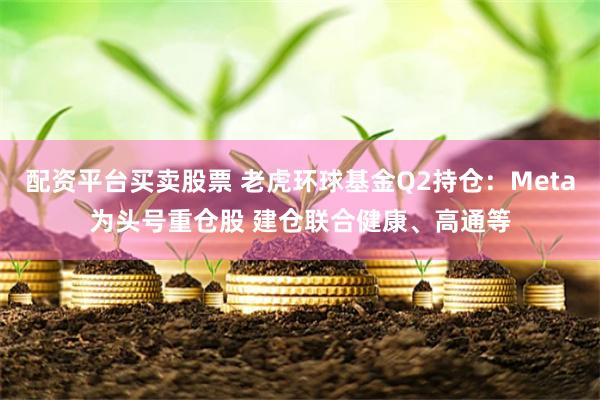 配资平台买卖股票 老虎环球基金Q2持仓：Meta为头号重仓股 建仓联合健康、高通等