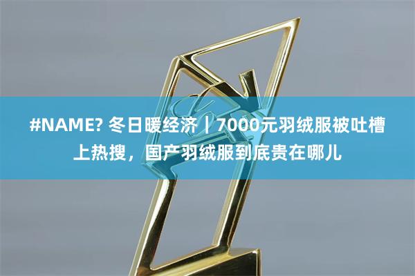 #NAME? 冬日暖经济｜7000元羽绒服被吐槽上热搜，国产羽绒服到底贵在哪儿