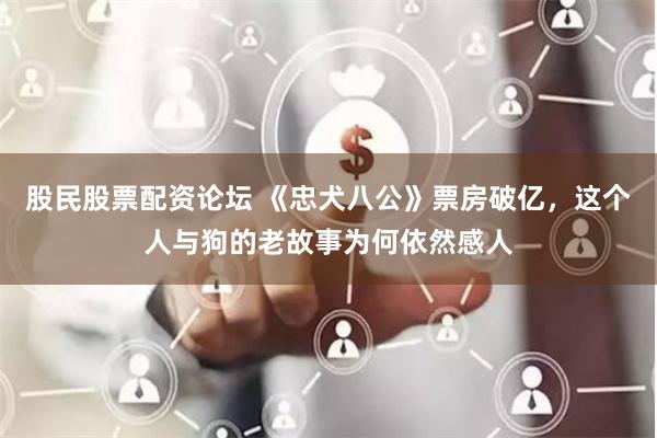股民股票配资论坛 《忠犬八公》票房破亿,这个人与狗的老故事为何依然感人